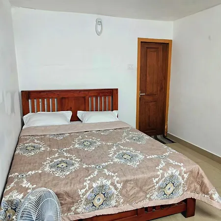 Cat Homes Vagamon-3